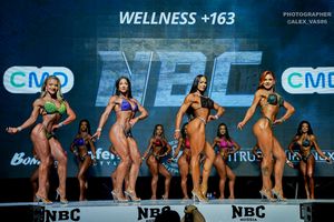 WELLNESS +163